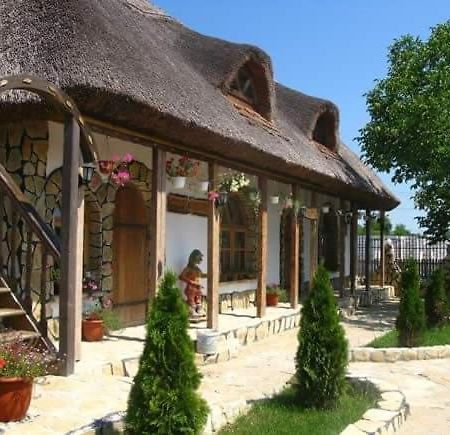 Casa Cu Flori Murighiol Kültér fotó